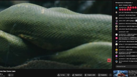 viper snakes terrarium stream 520x293 - Трансляция Вайпер: змеи в террариуме на официальном ютуб канале валорант