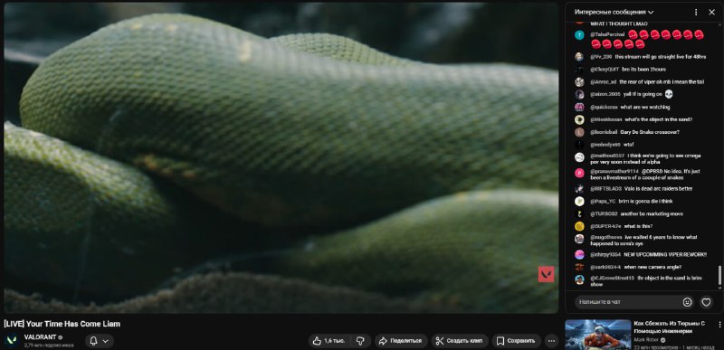 viper snakes terrarium stream - Трансляция Вайпер: змеи в террариуме на официальном ютуб канале валорант